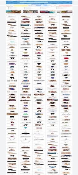 Online Shopping deals: Online Shopping deals